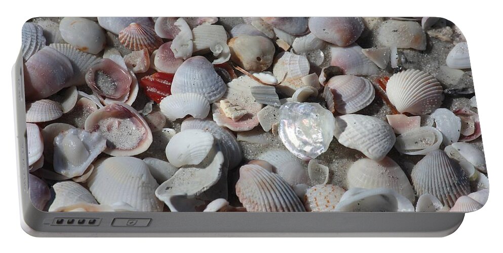 Shells Portable Battery Charger featuring the photograph Shells on Treasure Island by Carol Groenen