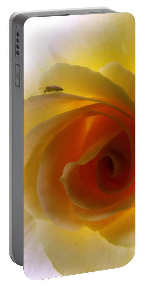 Flower Portable Battery Charger featuring the photograph Shelter Me From Harm by Robyn King