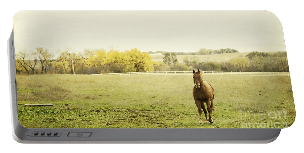 Horse Portable Battery Charger featuring the photograph Shiloah on the Run by Pam Holdsworth