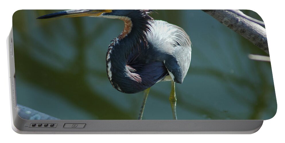 Egret Portable Battery Charger featuring the photograph Shiver by David Weeks