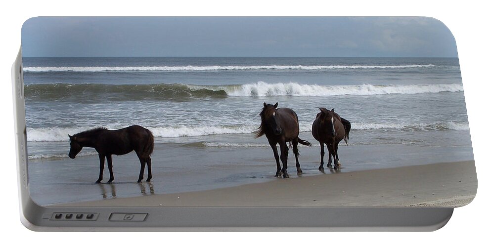 Wild Spanish Mustangs Portable Battery Charger featuring the photograph Shoreline Stroll by Kim Galluzzo Wozniak