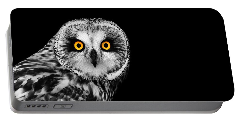 Short Eared Owl Portable Battery Charger featuring the photograph Short-Eared Owl by Mark Rogan