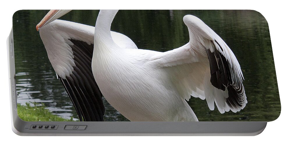 Beak Portable Battery Charger featuring the photograph Showing off by Shirley Mitchell
