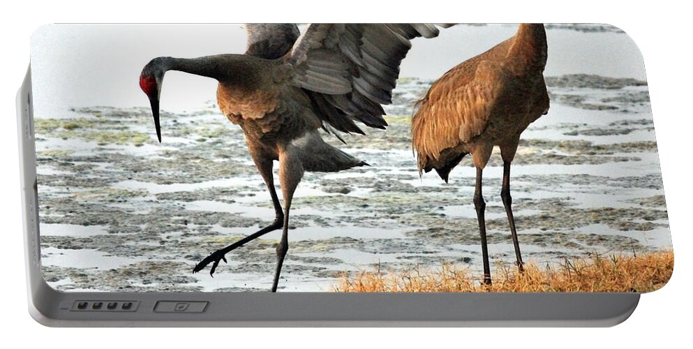 Sandhill Cranes Portable Battery Charger featuring the photograph Showoff by Carol Groenen