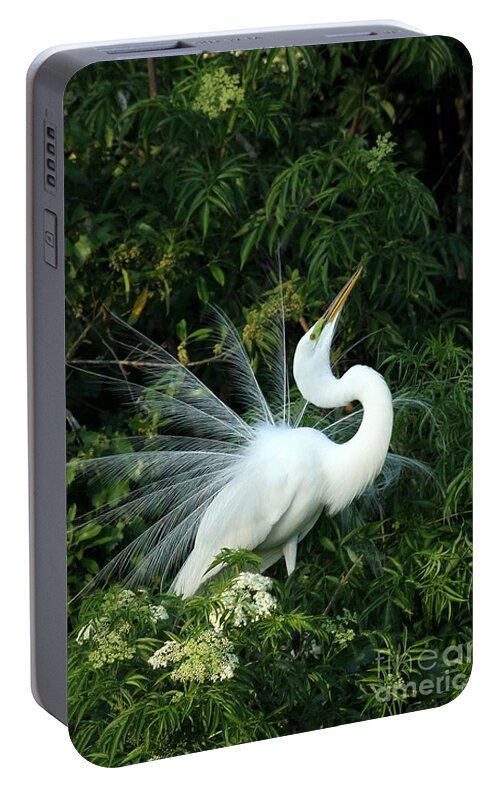 Great White Egret Portable Battery Charger featuring the photograph Showy Great White Egret by Sabrina L Ryan