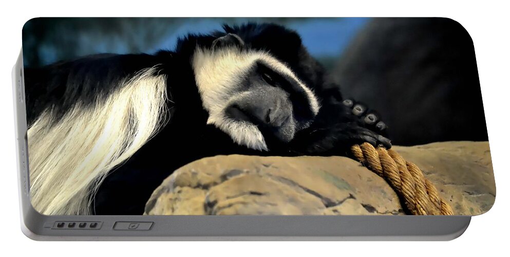 Monkey Portable Battery Charger featuring the photograph Siesta by Deena Stoddard