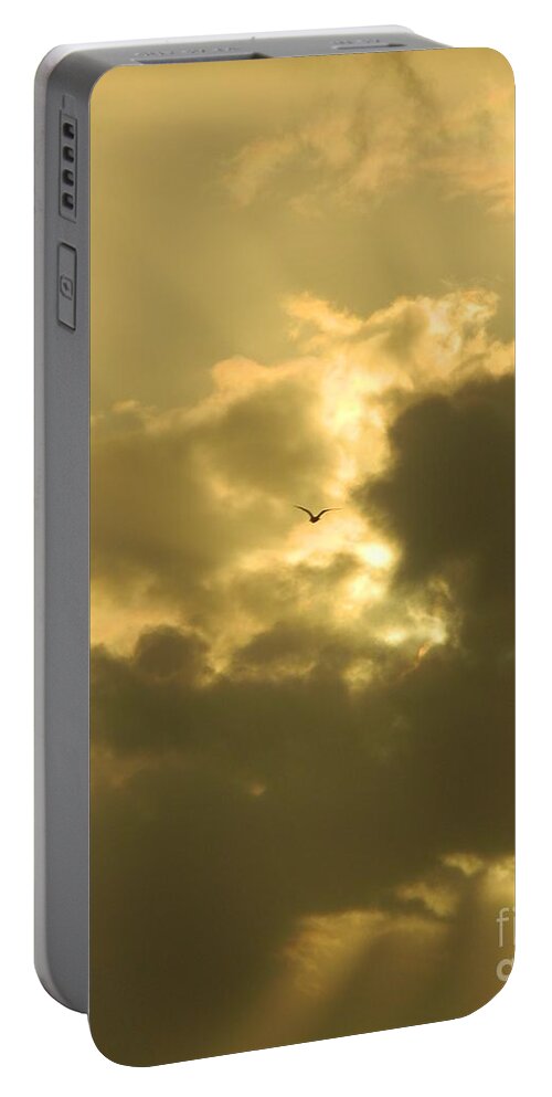 Seagull Portable Battery Charger featuring the photograph Silence of Peace by Gallery Of Hope 