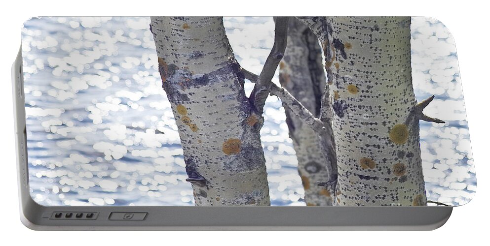 Tree Portable Battery Charger featuring the photograph Silver birch trees at a sunny lake by Heiko Koehrer-Wagner