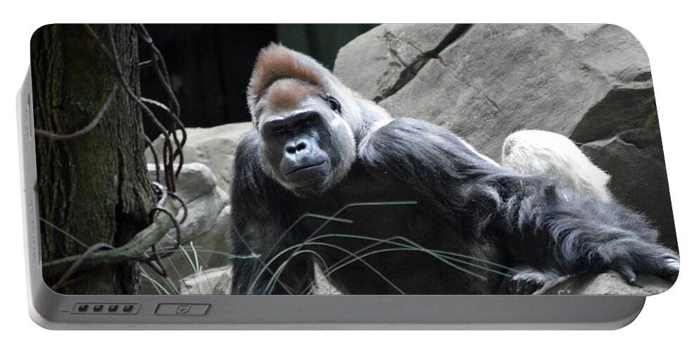 Silverback Portable Battery Charger featuring the photograph Silverback by Lynellen Nielsen