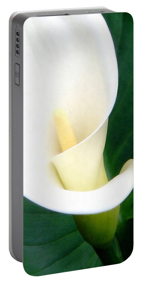Calla Lily Portable Battery Charger featuring the photograph Simply Calla Lily by Angelina Tamez