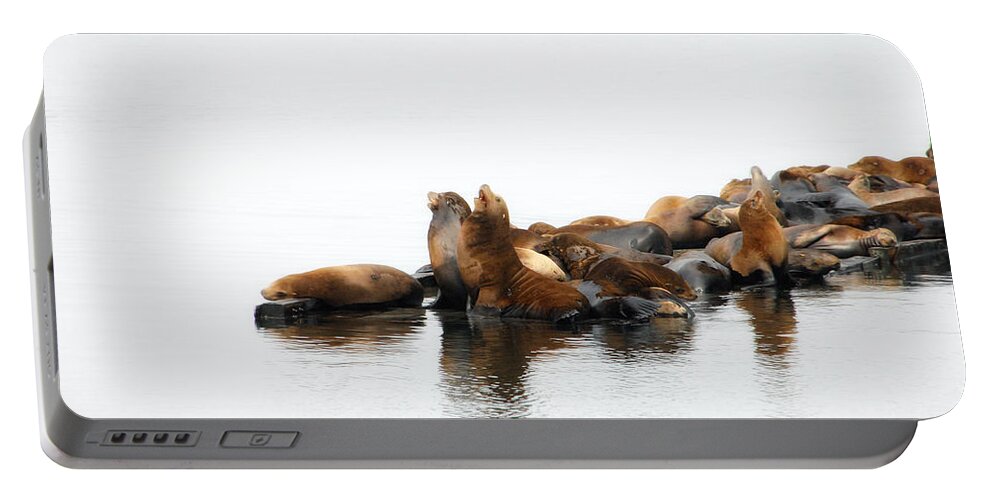 Seal Portable Battery Charger featuring the photograph Singing Seals by Donna Blackhall