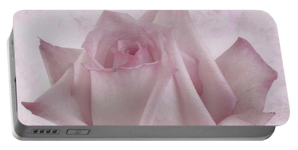 Pink Rose Portable Battery Charger featuring the photograph Single Pink Rose Blossom by Sandra Foster