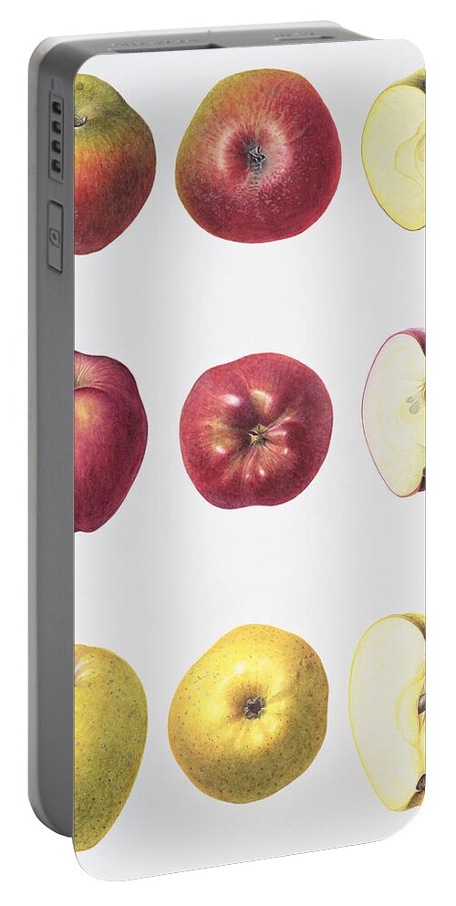 Apples Portable Battery Charger featuring the painting Six Apples by Margaret Ann Eden