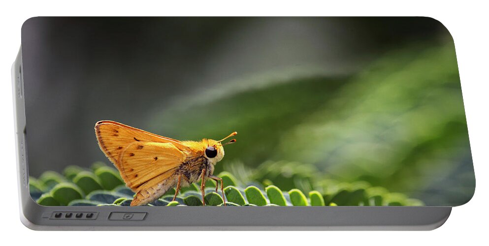 Macro Portable Battery Charger featuring the photograph Skipper Butterfly on Mimosa Leaf by Jason Politte