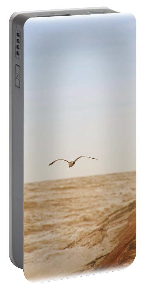 Seagull Portable Battery Charger featuring the photograph Sky Surfing by Max Mullins