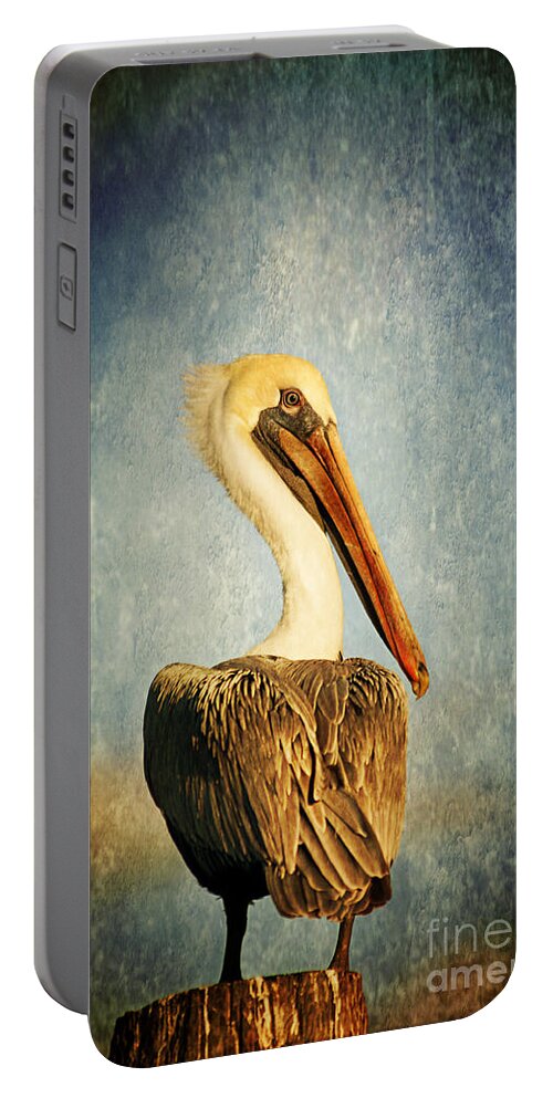 Brown Pelican Portable Battery Charger featuring the photograph Sky Watcher by Joan McCool