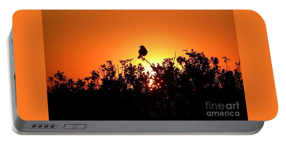 Postcard Portable Battery Charger featuring the digital art Sky Watcher by Matthew Seufer