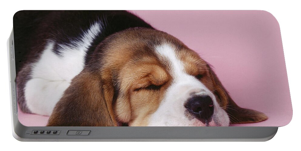 Dog Portable Battery Charger featuring the photograph Sleeping Beagle Puppy by John Daniels