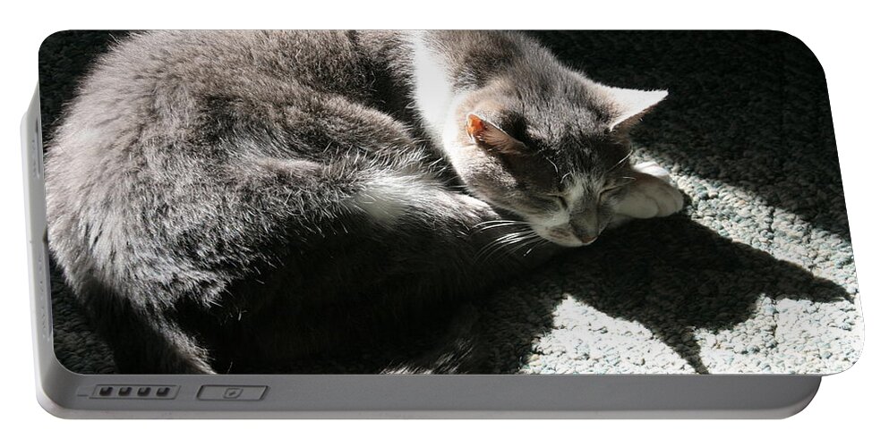 Horizontal Portable Battery Charger featuring the photograph Gray Cat Dreaming of Batman by Valerie Collins