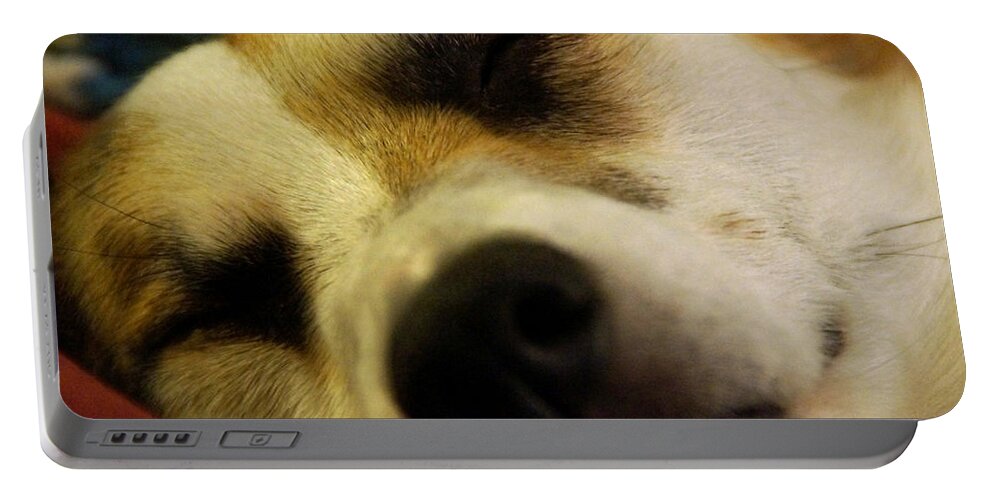 Sleeping Portable Battery Charger featuring the photograph Sleeping Corgi by Mick Anderson