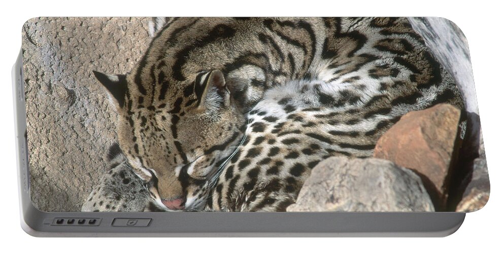 Ocelot Portable Battery Charger featuring the photograph Sleeping Ocelot by William H. Mullins
