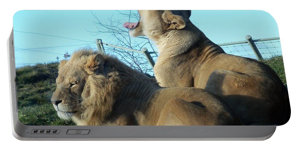 Wild Cats Portable Battery Charger featuring the photograph Sleepy Mighty Couple by Lingfai Leung