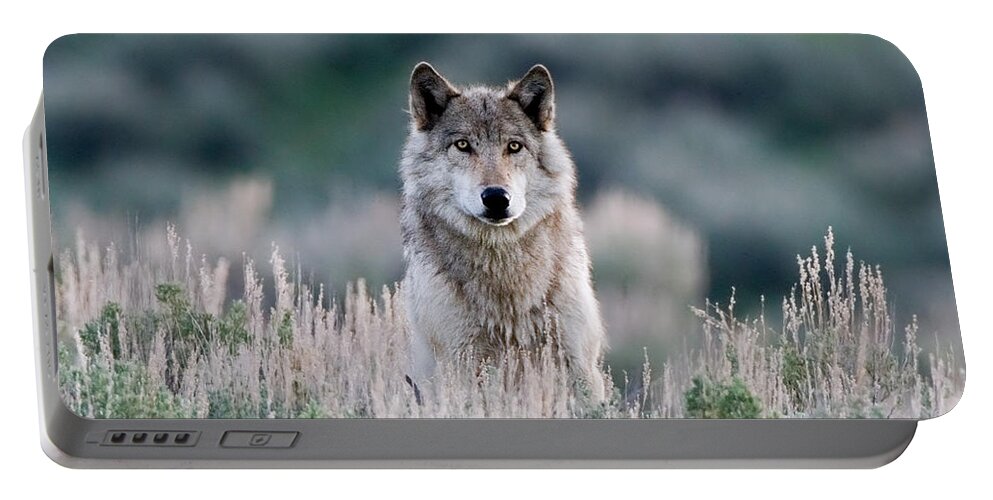 Yellowstone National Park Portable Battery Charger featuring the photograph Slough Alpha by Max Waugh