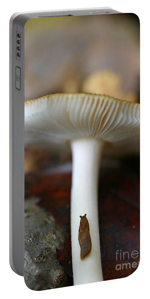 Mushroom Portable Battery Charger featuring the photograph Slugs and Mushrooms by David Rucker