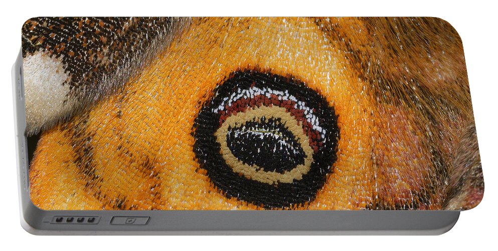 Feb0514 Portable Battery Charger featuring the photograph Small Emperor Moth Eyespot On Wing by Thomas Marent