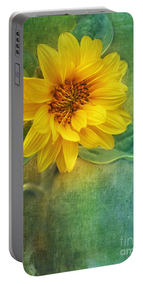 Photo Portable Battery Charger featuring the photograph Small Sunflower by Jutta Maria Pusl