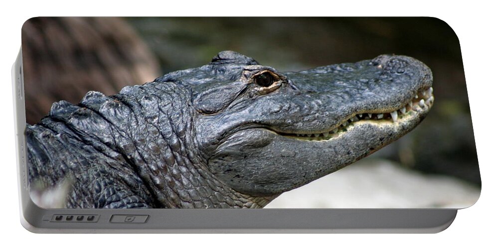 Alligator Portable Battery Charger featuring the photograph Smiling Alligator by Valerie Collins