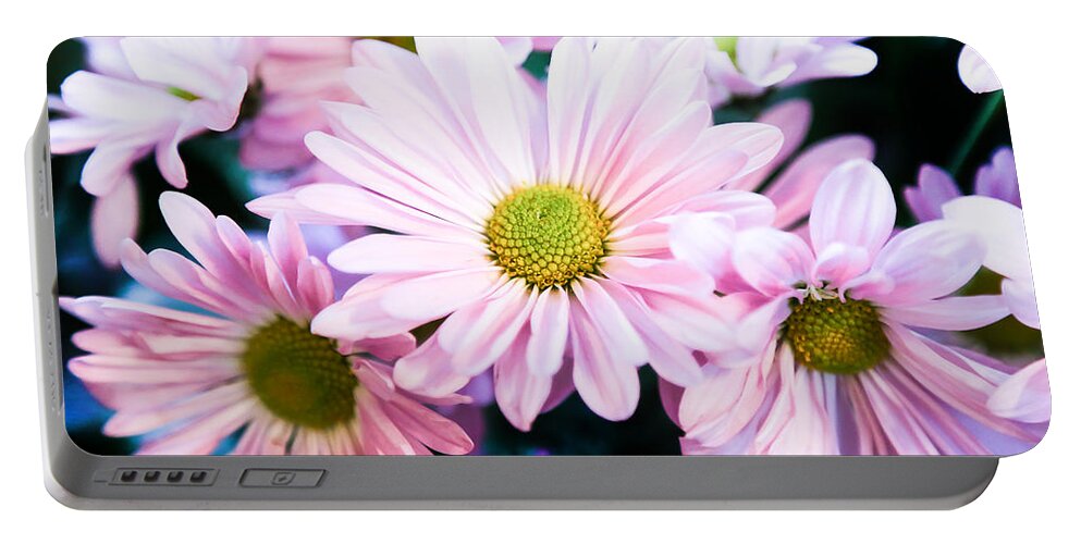 Chrysanthemum Portable Battery Charger featuring the photograph Smiling at You by Milena Ilieva
