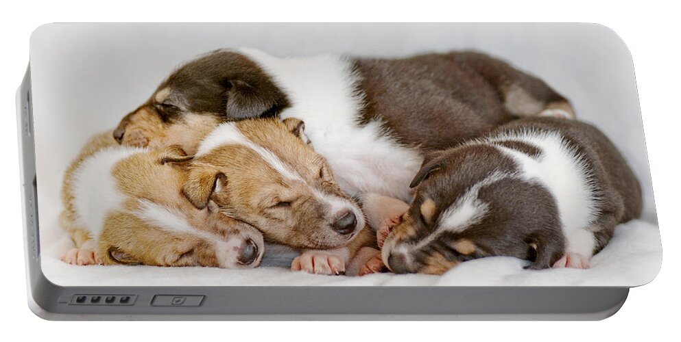 Collie Portable Battery Charger featuring the photograph Smooth collie puppies taking a nap by Martin Capek