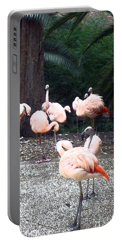 Flamingo Portable Battery Charger featuring the painting Smudgestick Flamingos by Shere Crossman