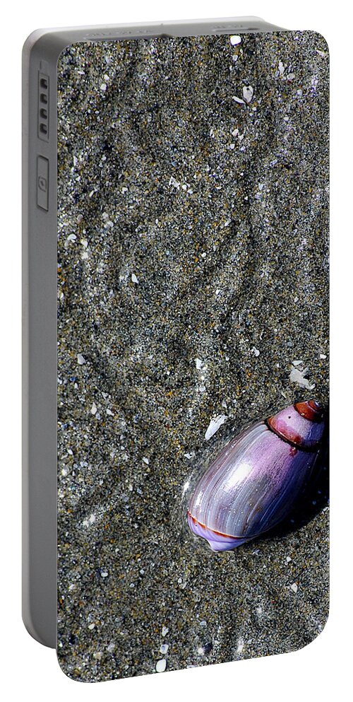 Snail Portable Battery Charger featuring the photograph Snail's Pace by Lisa Phillips