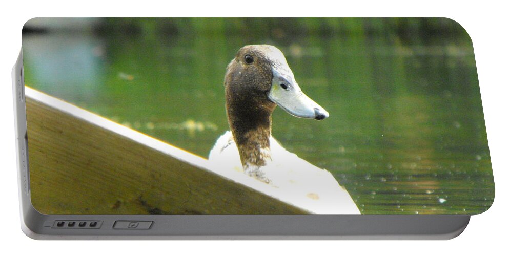 Duck Portable Battery Charger featuring the photograph Snooping Duck by Erick Schmidt