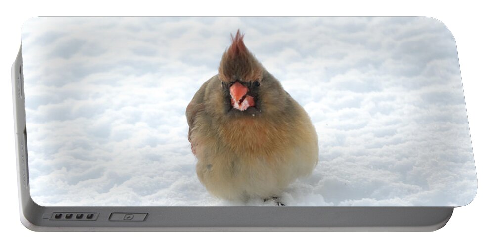 Cardinal Portable Battery Charger featuring the photograph Snow Beard by Holden The Moment