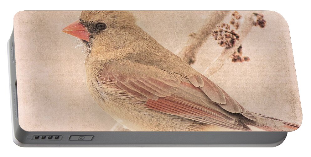 Bird Portable Battery Charger featuring the photograph Snow Bearded Lady by Pam Holdsworth