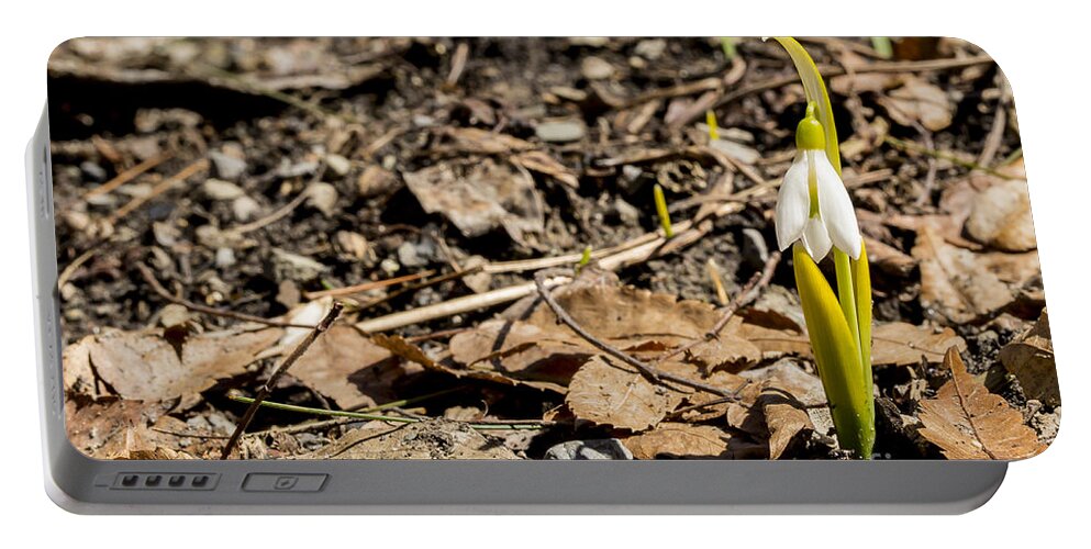 Snowbell Portable Battery Charger featuring the photograph Snow Bell Spring Has Sprung by Brad Marzolf Photography