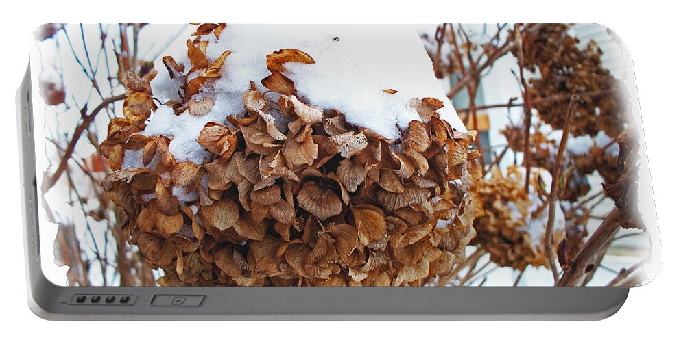 Nature Portable Battery Charger featuring the photograph Snow Bonnet by Debbie Portwood
