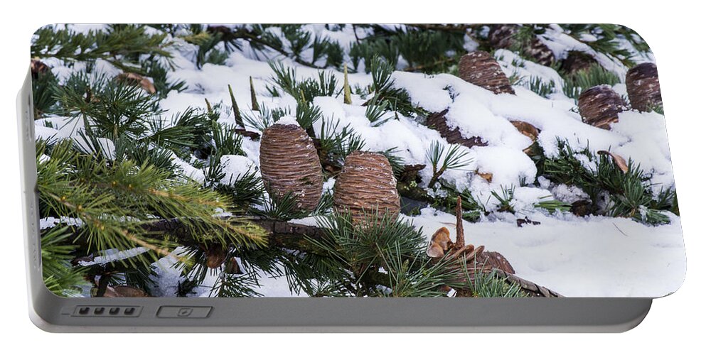 Snow Portable Battery Charger featuring the photograph Snow Cones by Spikey Mouse Photography