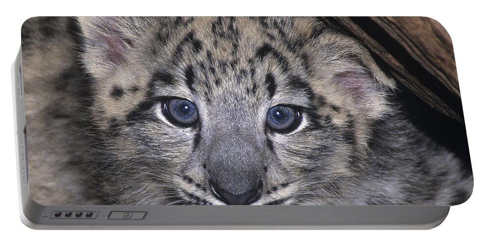 Asia Portable Battery Charger featuring the photograph Snow Leopard Cub ENDANGERED by Dave Welling