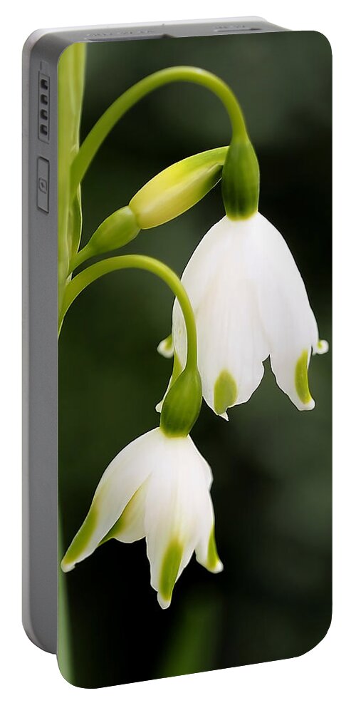 Snowbells Portable Battery Charger featuring the photograph Snowbells in Spring by Rona Black