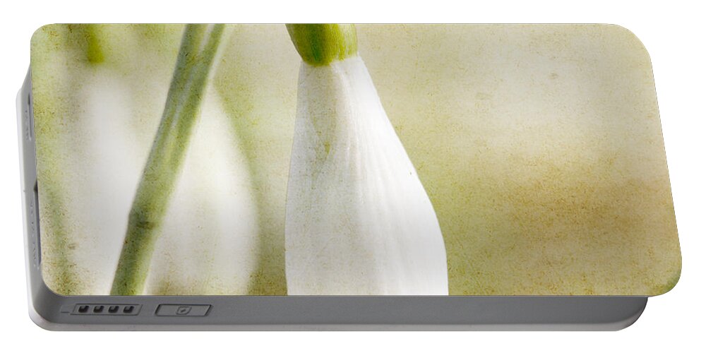 Snowdrop Portable Battery Charger featuring the photograph Snowdrop textured by Steev Stamford