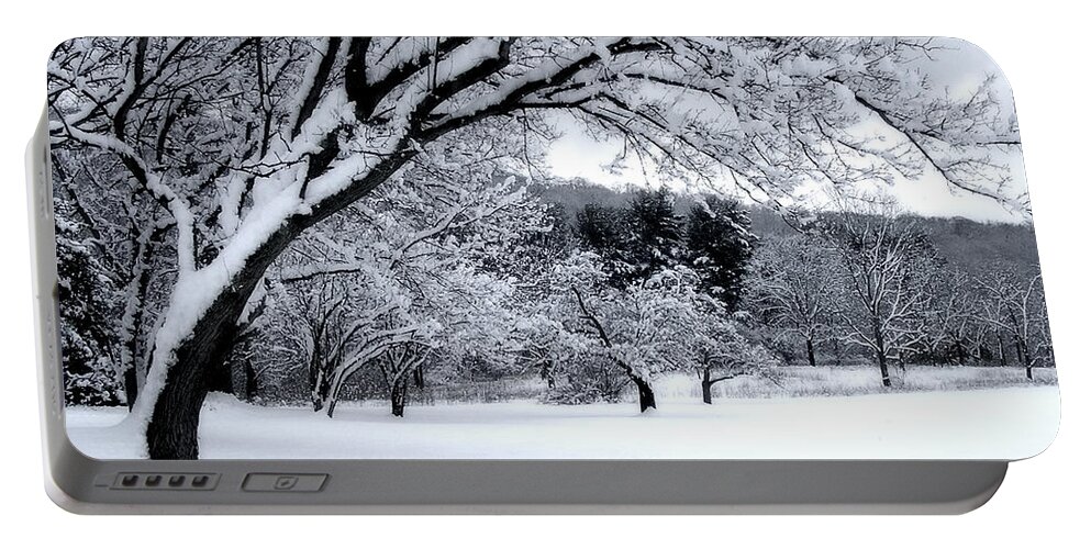 Snow Portable Battery Charger featuring the digital art Snowfall by Bruce Rolff