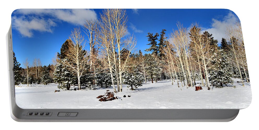 Snow Portable Battery Charger featuring the photograph Snowy Aspen Grove by Donna Greene