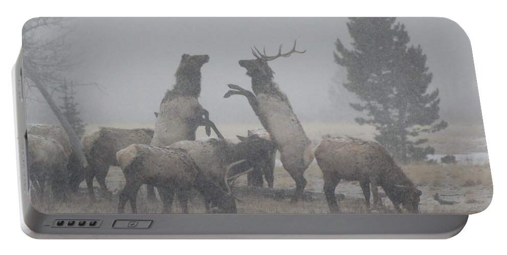 Elk Portable Battery Charger featuring the photograph Snowy Battle by Shane Bechler