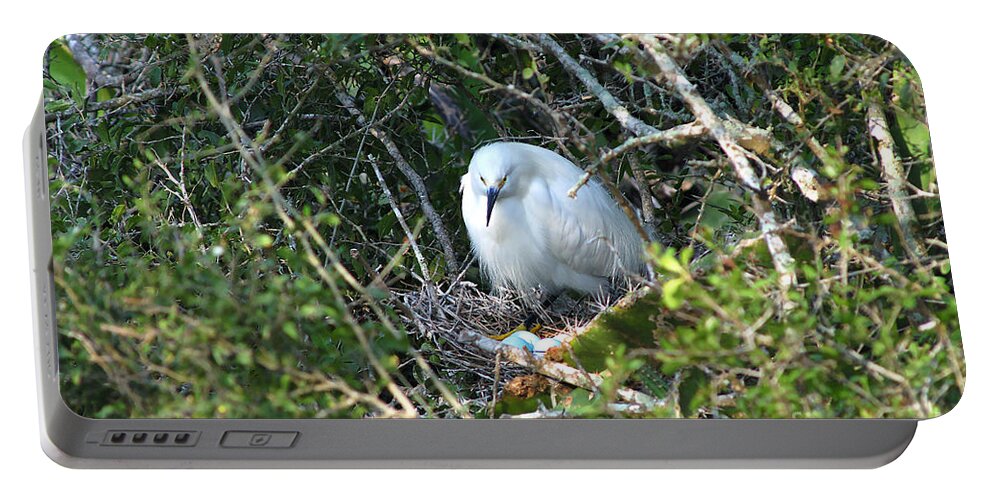 Animal Portable Battery Charger featuring the photograph Snowy Egret In Nest by Gregory G. Dimijian