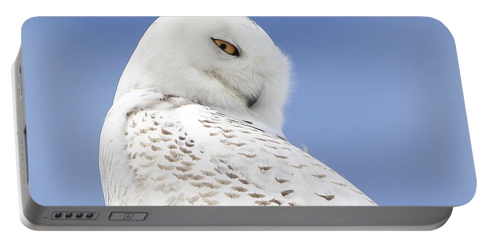 Maine Portable Battery Charger featuring the photograph Snowy Eyes by Karin Pinkham