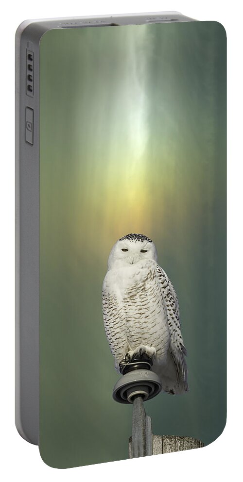 Snowy Owl (bubo Scandiacus) Portable Battery Charger featuring the photograph Snowy Owl And Aurora Borealis by Thomas Young